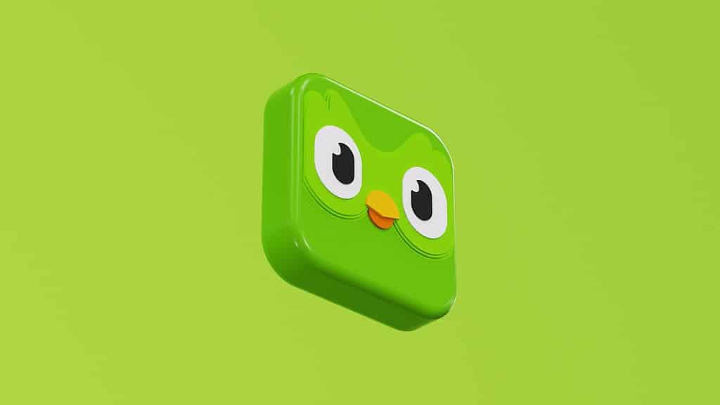 If you want to know how to practice French online, one of the most popular ways is using Duolingo. This is an image of the logo.